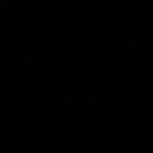 Meet your Posher, Stella